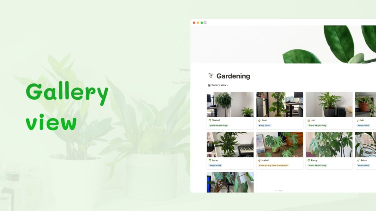 Gardening | Prototion | Buy Notion Template