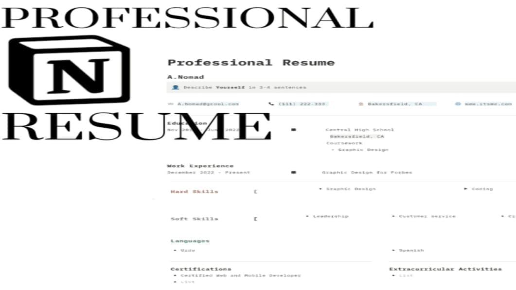 Professional Notion Resume Template
