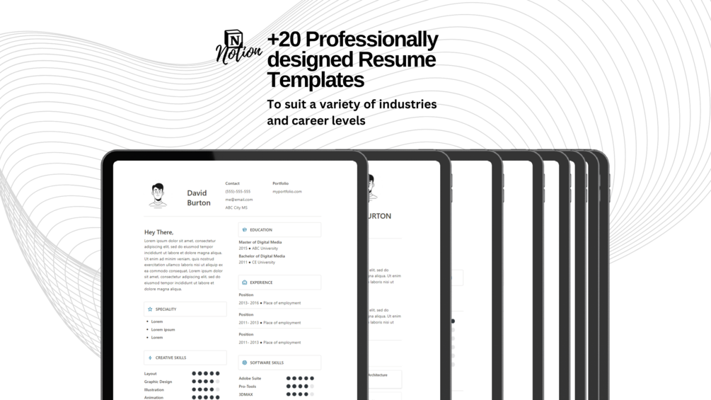 Notion Resume Templates set (x20)